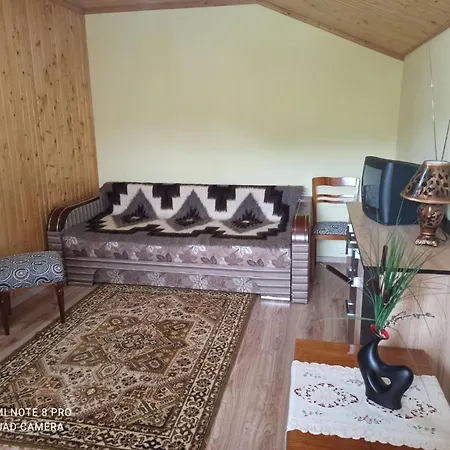 у панi нелi *